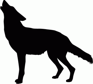 silouette of coyote howling